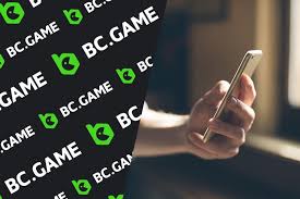 Your Ultimate Guide to BCStavka APK Betting Made Easy